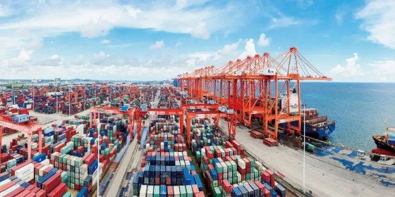 什么是海运口岸效劳？